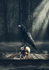Crow standing on a wooden skull