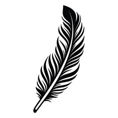 Obraz premium Black fluffy feather. Hand drawing vintage art realistic quill feathers for pen detailed isolated vector elegant silhouette sketch bird plume set