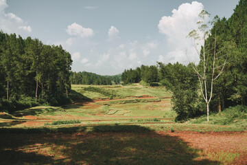 The beautiful panoramic view of a meadow