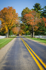 Garland in Allegheny National Forest
