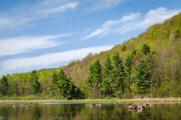 Chandlers Valley Lake and Wetlands in Warren County