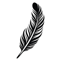 Obraz premium Black fluffy feather. Hand drawing vintage art realistic quill feathers for pen detailed isolated vector elegant silhouette sketch bird plume set