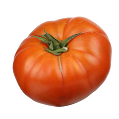 Natural organic village tomato on transparent background, single raw tomato, png isolated background