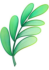 Fototapeta na wymiar green leaves isolated on transparent background png