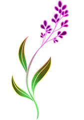 Fototapeta na wymiar hand drawing gradient flower isolated on transparent background png