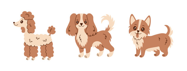 Cute dogs vector set. Funny hand drawn puppies collection. Poodle, Cavalier King Charles Spaniel and Welsh Corgi breeds illustrations on white background.