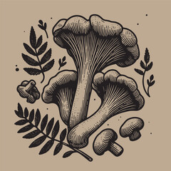 Chanterelle Mushrooms. Beautiful engraving monochrome vector illustration. Icon, logo, isolated object © Victoria