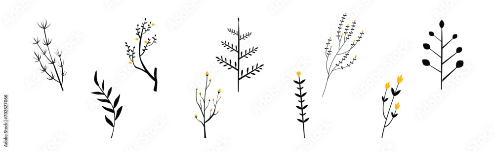 Poster black herbs and twig with stem and stalk vector set
