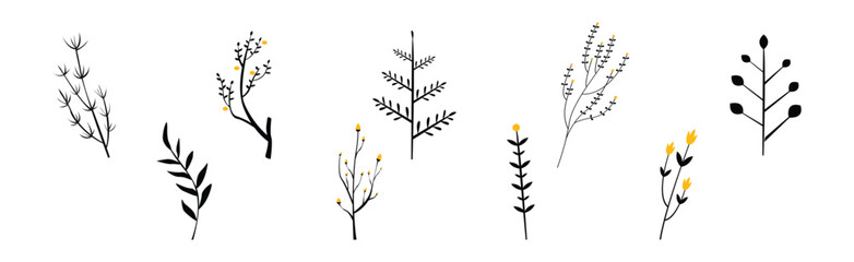 Black Herbs and Twig with Stem and Stalk Vector Set