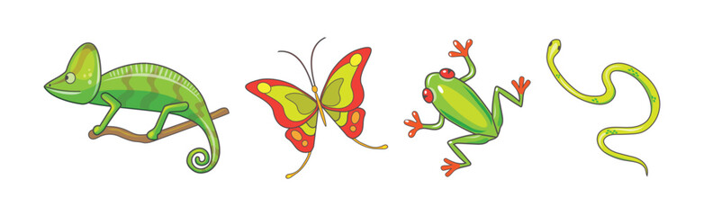 Tropical Chameleon, Frog, Butterfly and Snake Vector Set