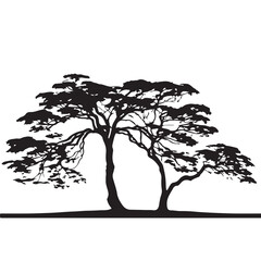 Collection tree silhouette transparent png. 