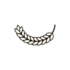 Bent spikelet. A semicircular curved shape.