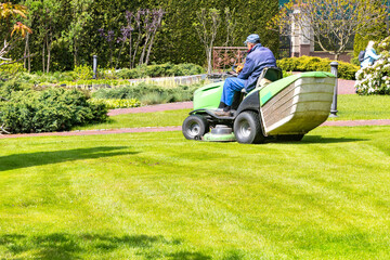 A gardener uses a tractor-type industrial lawn mower to cut the grass. Professional Gardening Details - obrazy, fototapety, plakaty