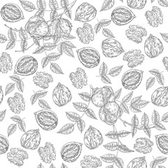 Fototapeta na wymiar Walnuts seamless pattern. Hand drawn Walnut tree nuts and leaves. Vector illustration engraved.
