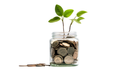 Plant growing from coins in glass jar isolated on transparent and white background.PNG image.