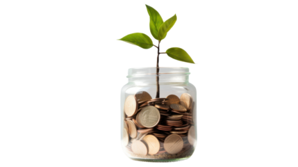 Plant growing from coins in glass jar isolated on transparent and white background.PNG image.