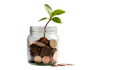 Plant growing from coins in glass jar isolated on transparent and white background.PNG image.