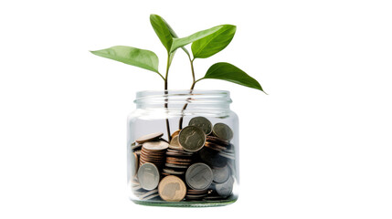 Fototapeta na wymiar Plant growing from coins in glass jar isolated on transparent and white background.PNG image.