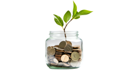 Plant growing from coins in glass jar isolated on transparent and white background.PNG image.