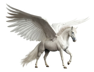 Obraz na płótnie Canvas Majestic Pegasus