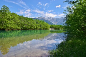Obraz premium 新緑の上高地・大正池