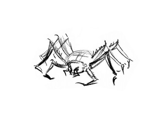 Pencil drawing. Dangerous little spider