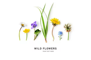 Poster Meadow flowers and grass creative layout isolated on white background. © ifiStudio