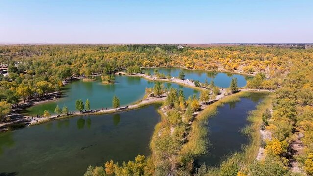 landscape with lake and trees