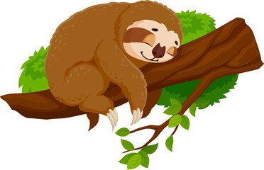 Cartoon funny sloth character peacefully slumbers on tree branch. Isolated vector cute tropical animal nap, its tranquil expression and relaxed posture capturing the essence slow and easygoing nature