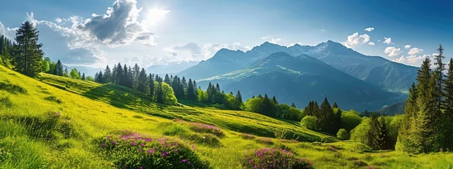 Wall murals Meadow, Swamp Idyllic mountain landscape in the Alps with blooming meadows in summer springtime