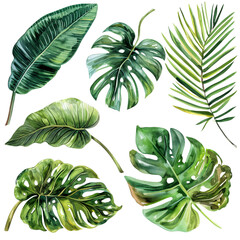 set of  tropical leaves in watercolor style
