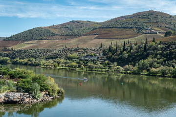 Fototapeta na wymiar Entre montes e montanhas e algumas vinhas, o rio Douro em Foz Tua, Trás os Montes Portugal