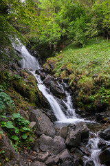 Fototapeta na wymiar Aran Valley, Spain, forests, rivers, waterfalls, mountains