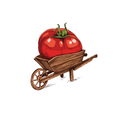 Hand drawn farmer wooden cart with red tomato. Farm fresh delivery design template. Vector illustration isolated on white background. © Oak Ira