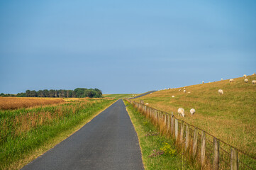 Radweg am Deich bei Neßmersiel