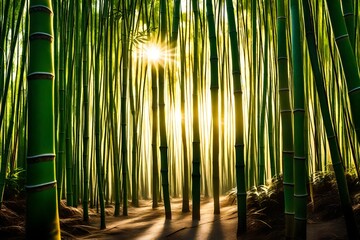 A dense bamboo forest with sunlight filtering through the tall stalks, creating a serene and magical atmosphere.