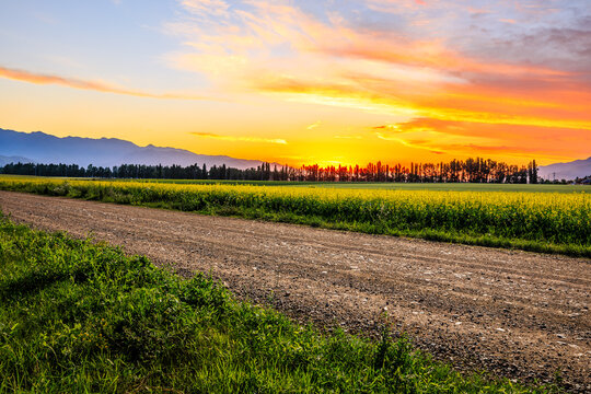 Country gravel road and green farmland with mountain nature landscape at sunset