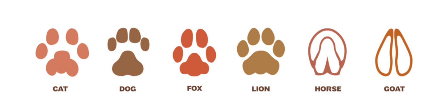 Animal paws icon set. Animal paws print.