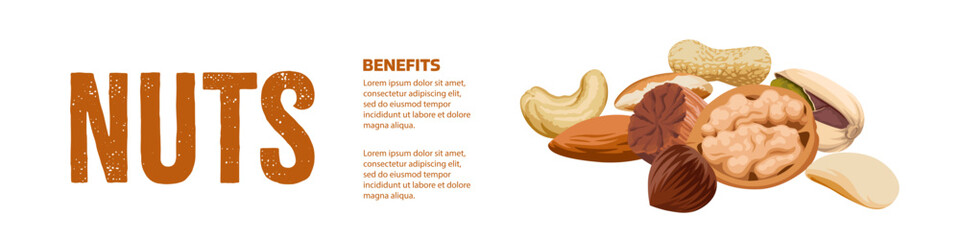 Nuts template. Nuts banner. Flat style.