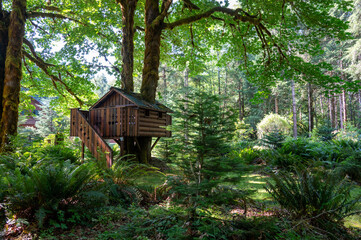 Fototapeta na wymiar Wooden tree house nestled in a lush forest
