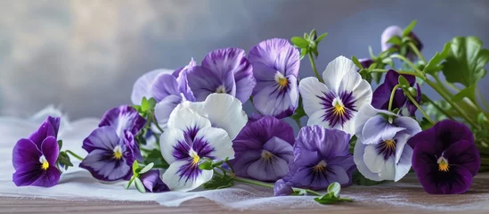Fotobehang Pansies with a purple and white gradient. © 2rogan