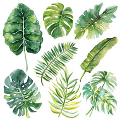 set of  tropical leaves in watercolor style