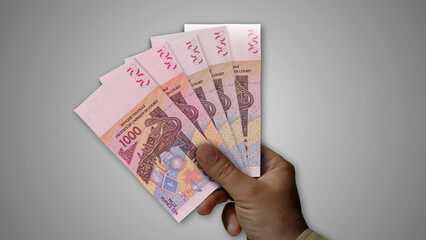 West African CFA Franc growing pile of money in hand concept 3d illustration