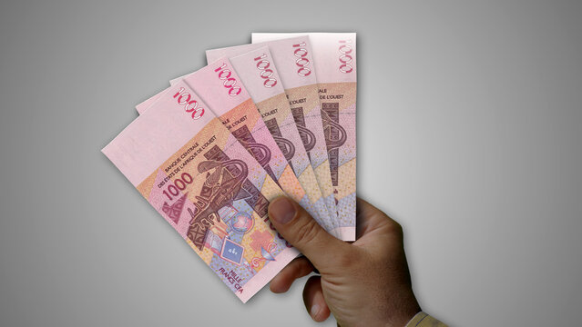 West African CFA Franc growing pile of money in hand concept 3d illustration