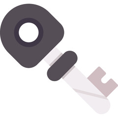 Key Icon