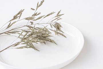 Green grass blades on white plate.  Natural table décor, product display or design key visual layout. Mock up, close up