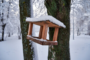 Wooden bird feeder hanging on a tree in the winter forest