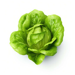 Obraz premium Boston lettuce isolated on white background