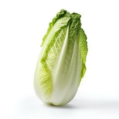 Napa cabbage isolated on white background