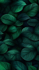 leaves nature background, closeup leaves texture, tropical leaves